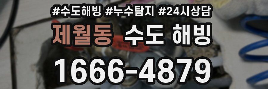 제월동 수도 해빙