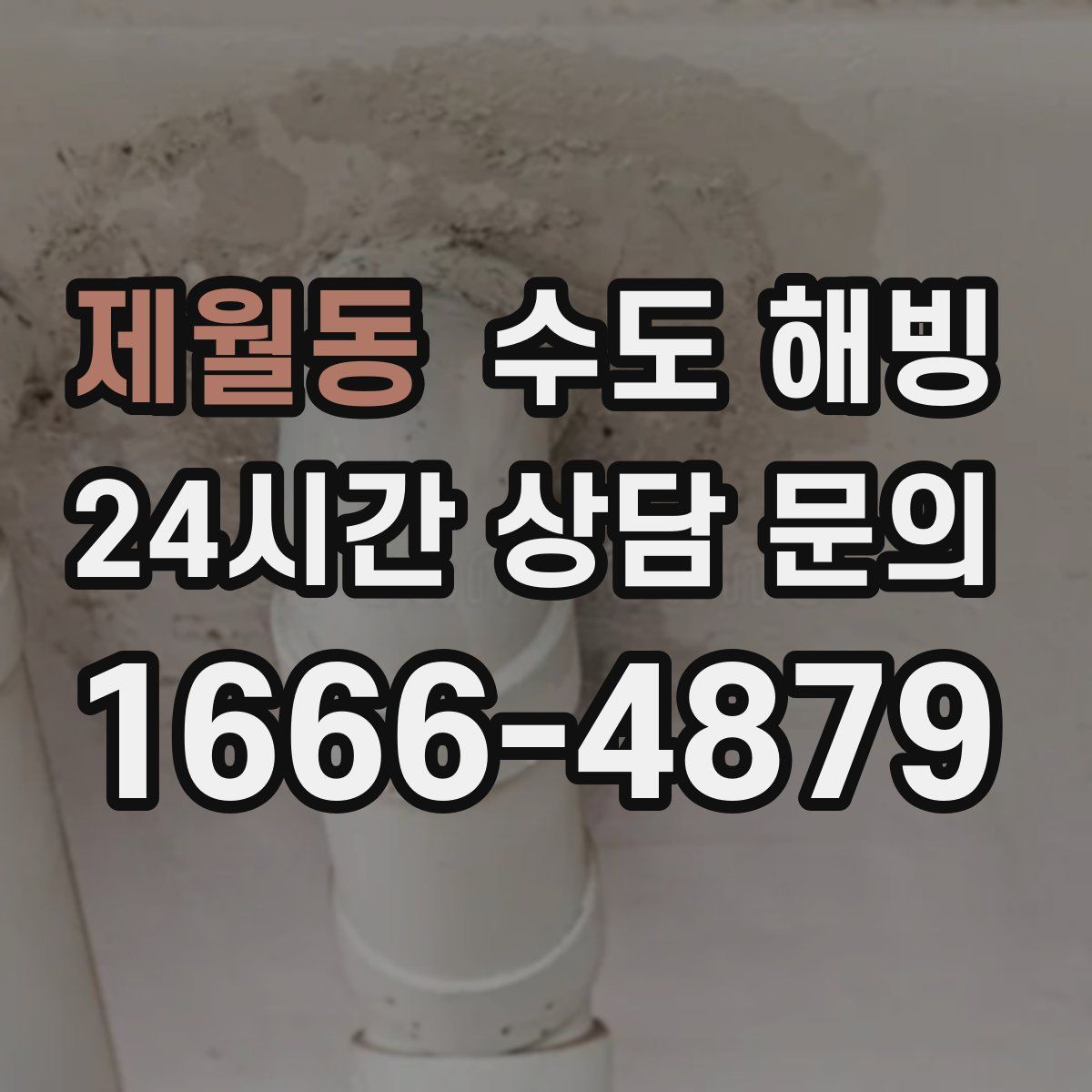 제월동 수도 해빙