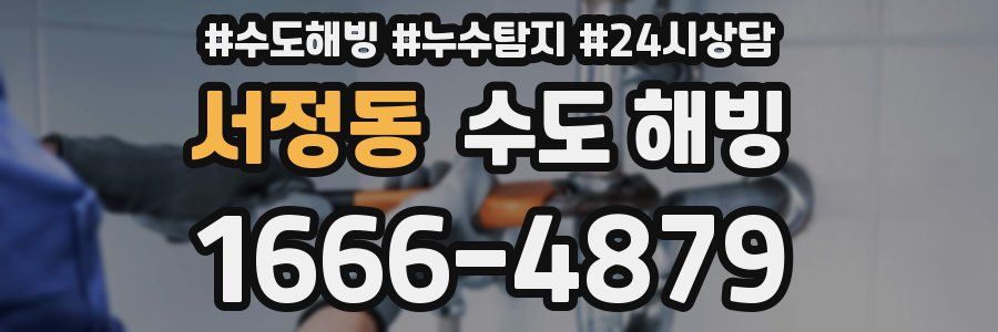 서정동 수도 해빙