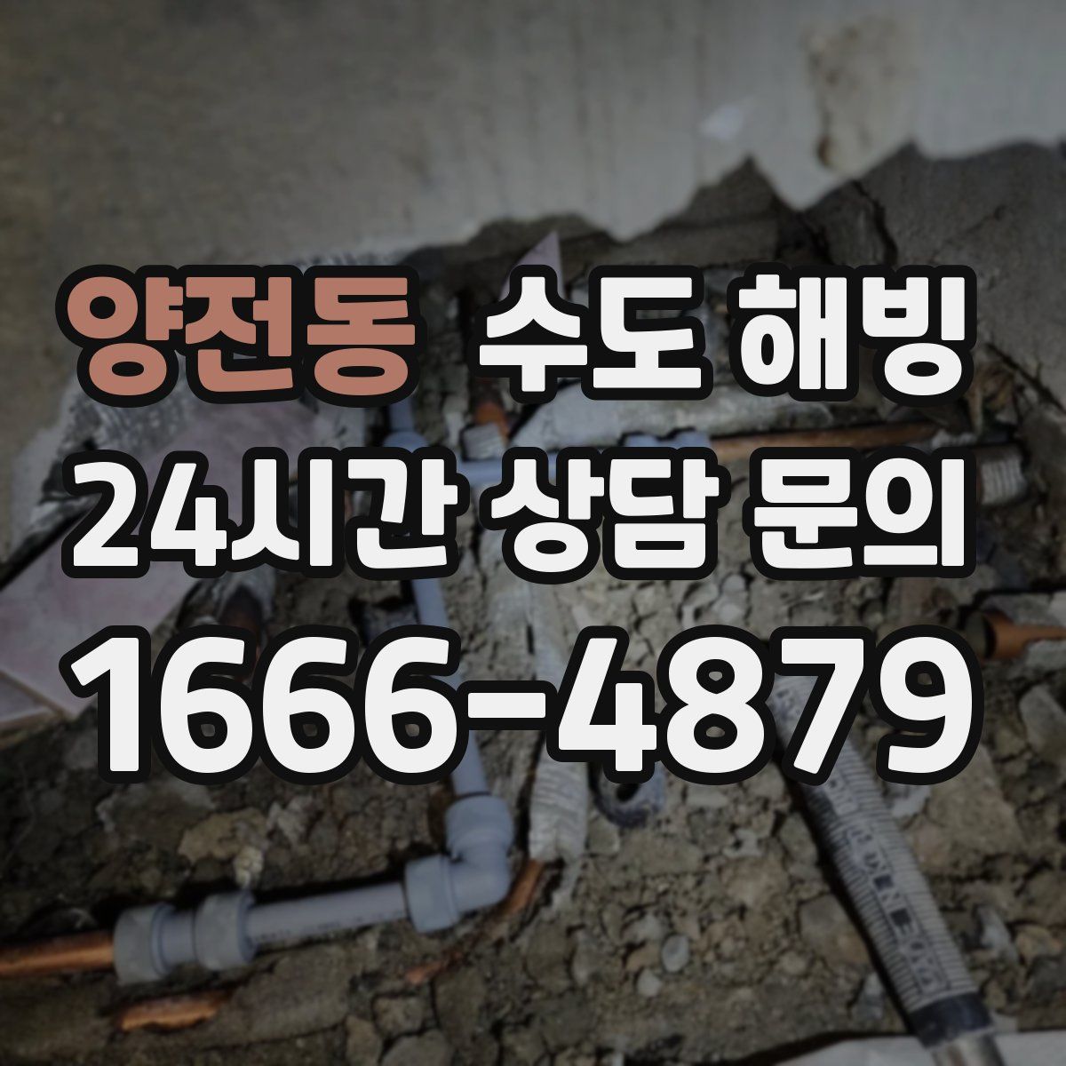 양전동 수도 해빙