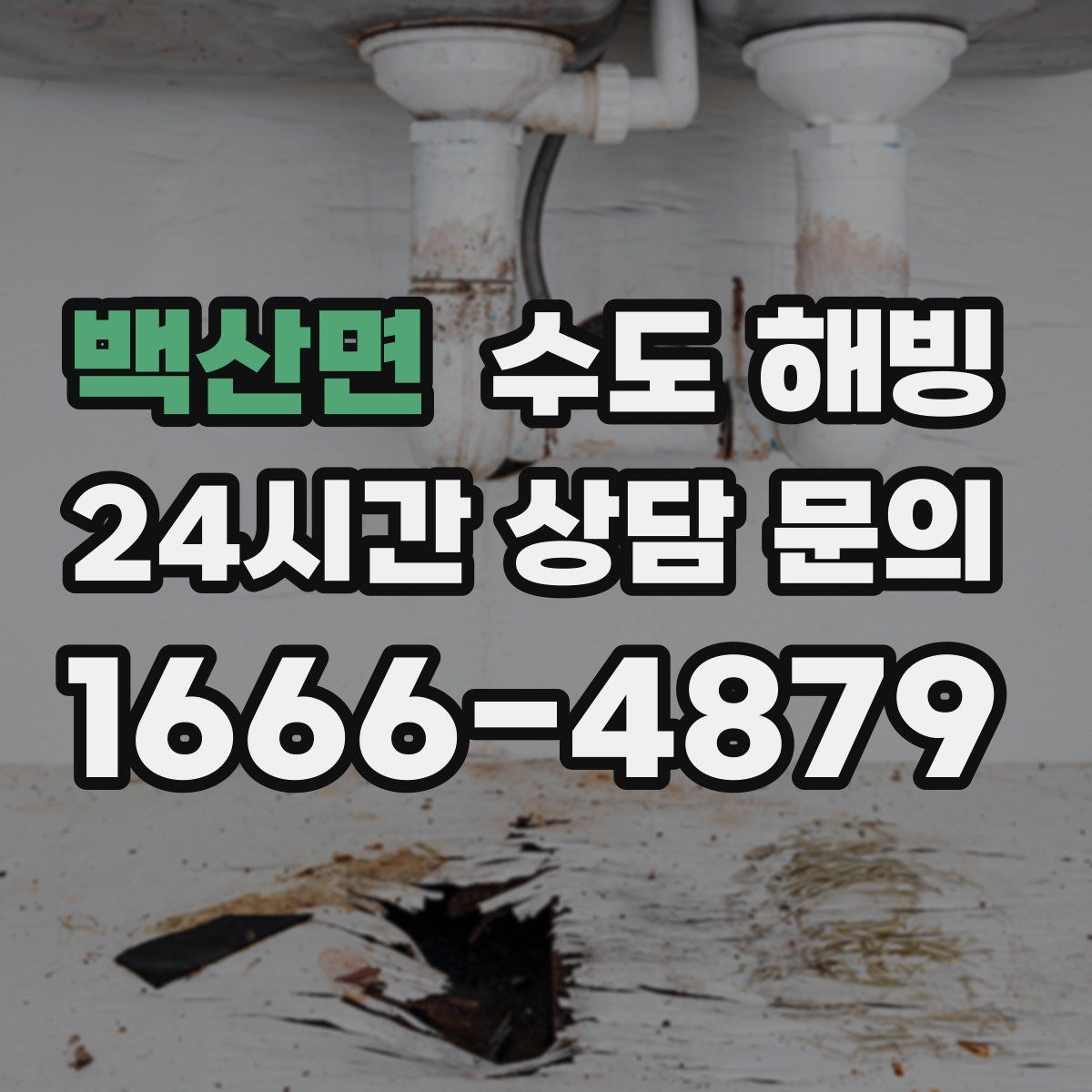 백산면 수도 해빙