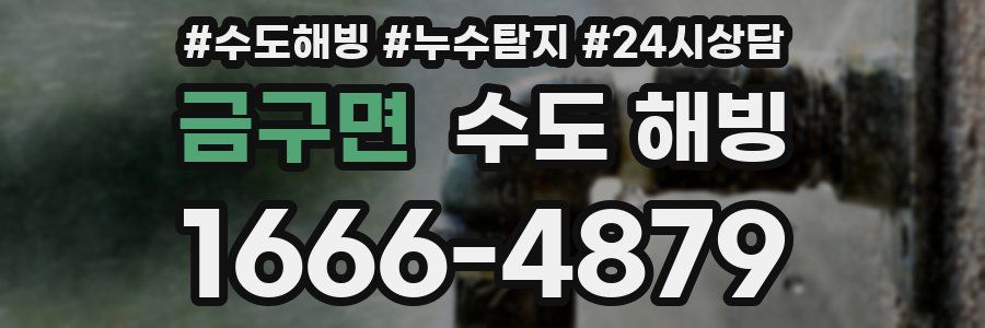 금구면 수도 해빙