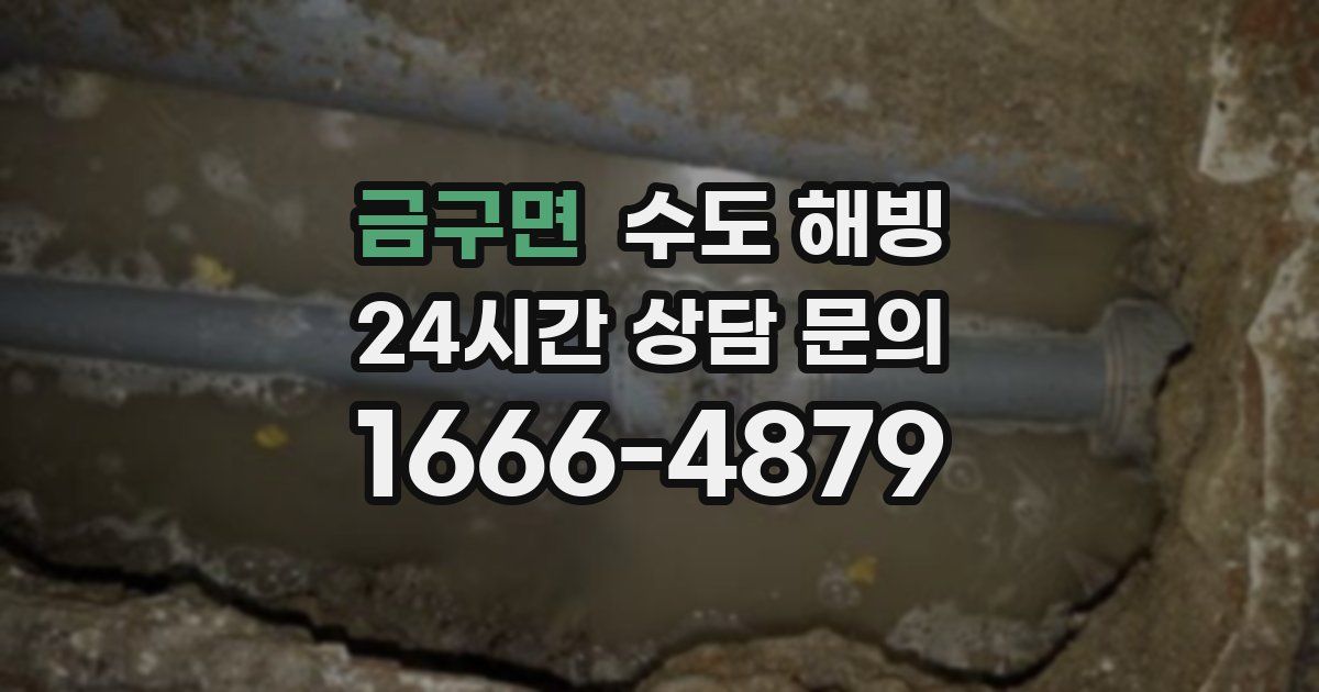 금구면 수도 해빙