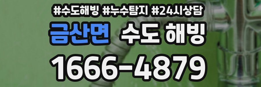 금산면 수도 해빙