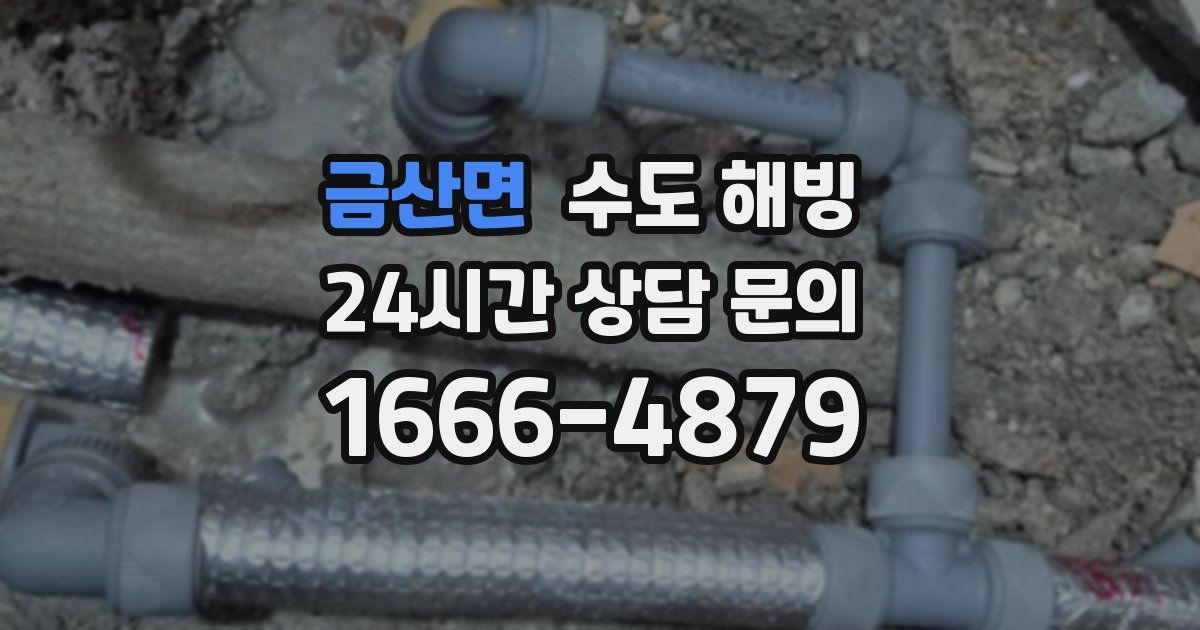 금산면 수도 해빙