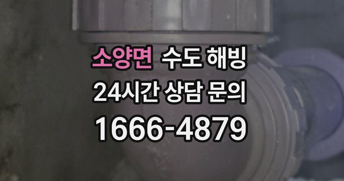 소양면 수도 해빙