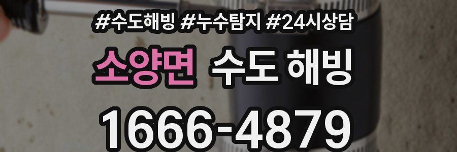 소양면 수도 해빙