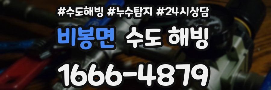 비봉면 수도 해빙