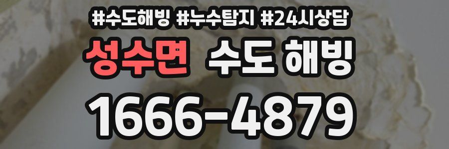 성수면 수도 해빙