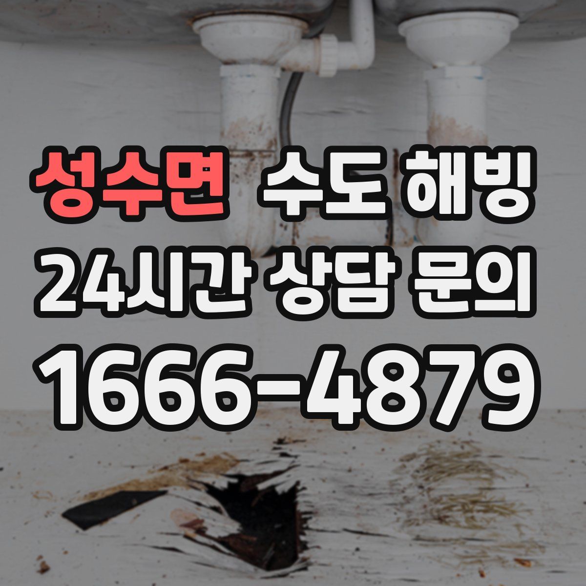 성수면 수도 해빙