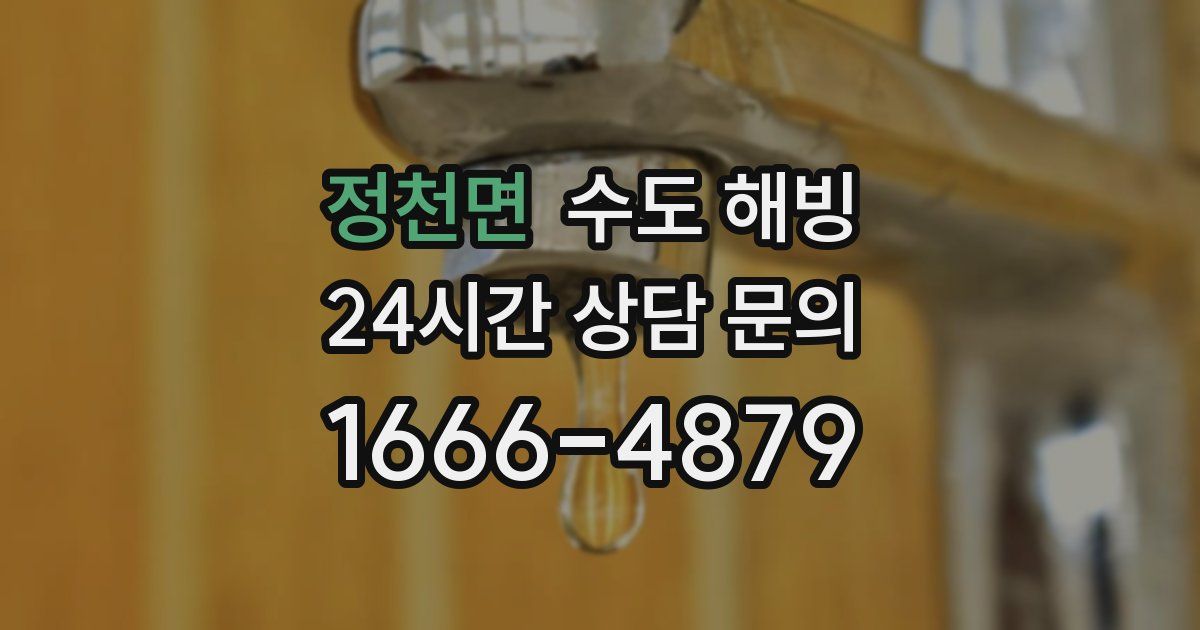 정천면 수도 해빙