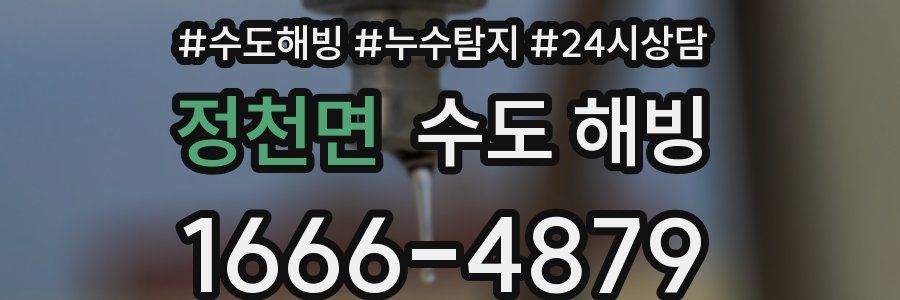 정천면 수도 해빙