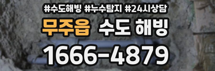 무주읍 수도 해빙