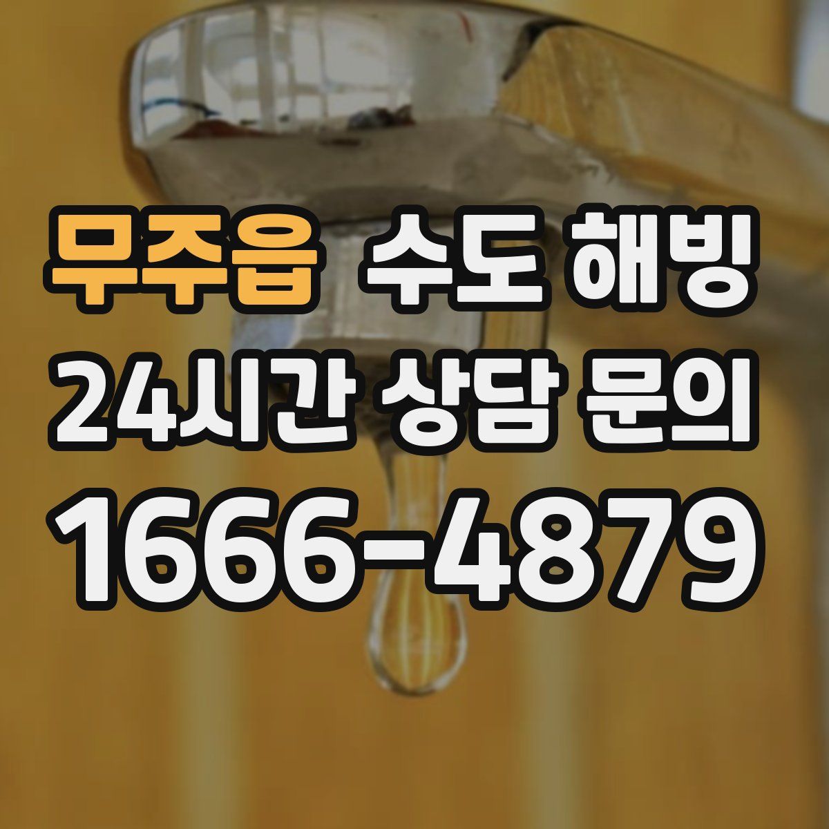 무주읍 수도 해빙