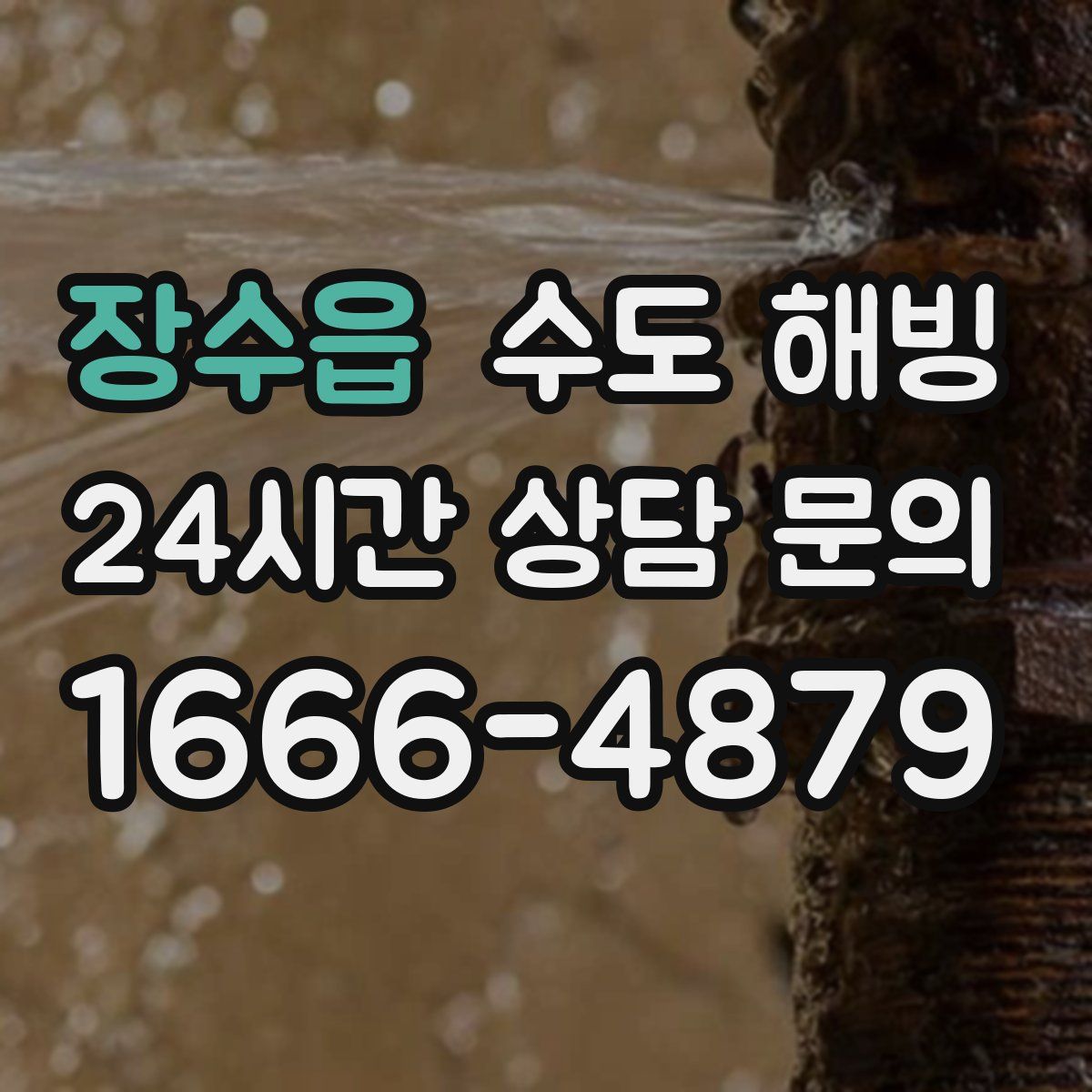 장수읍 수도 해빙