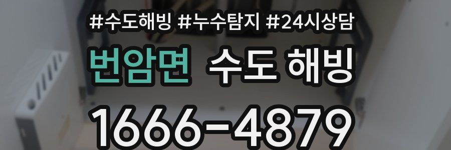 번암면 수도 해빙