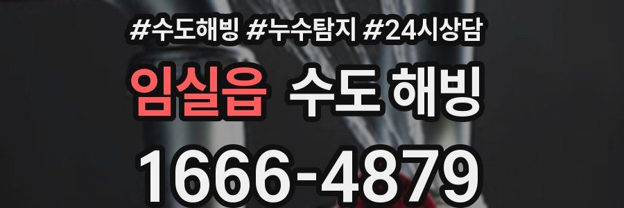 임실읍 수도 해빙