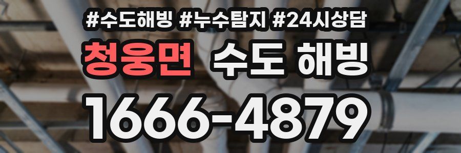 청웅면 수도 해빙