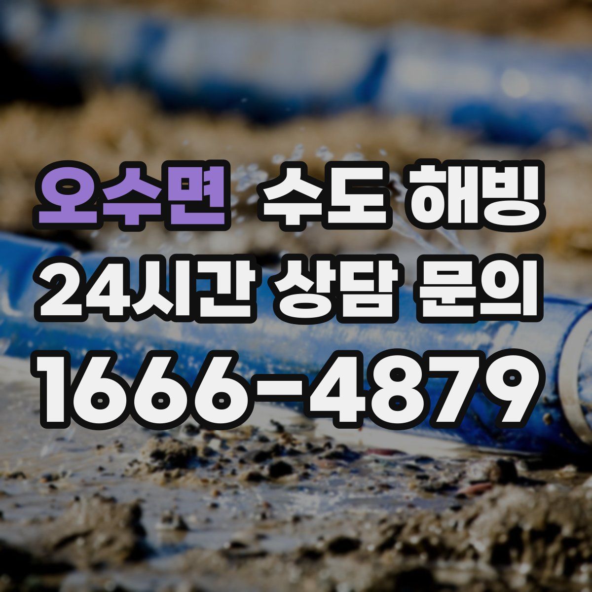 오수면 수도 해빙