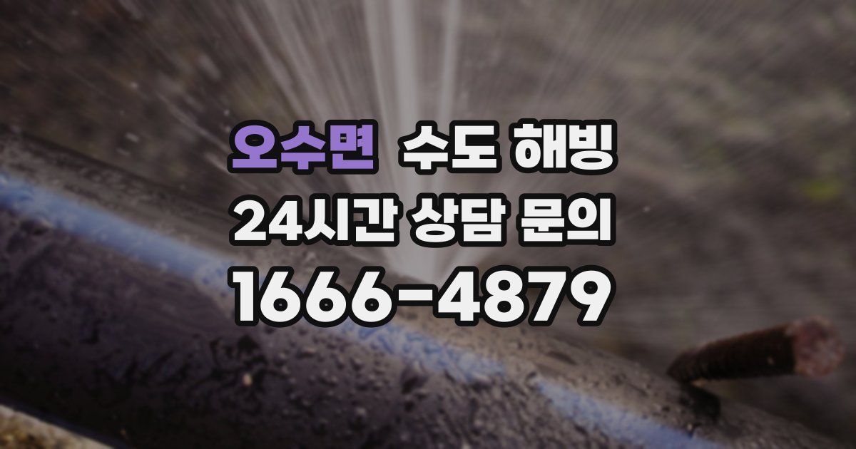 오수면 수도 해빙