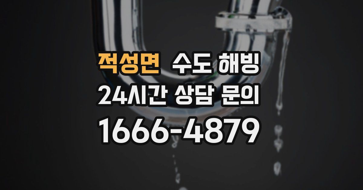적성면 수도 해빙