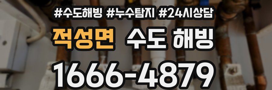 적성면 수도 해빙