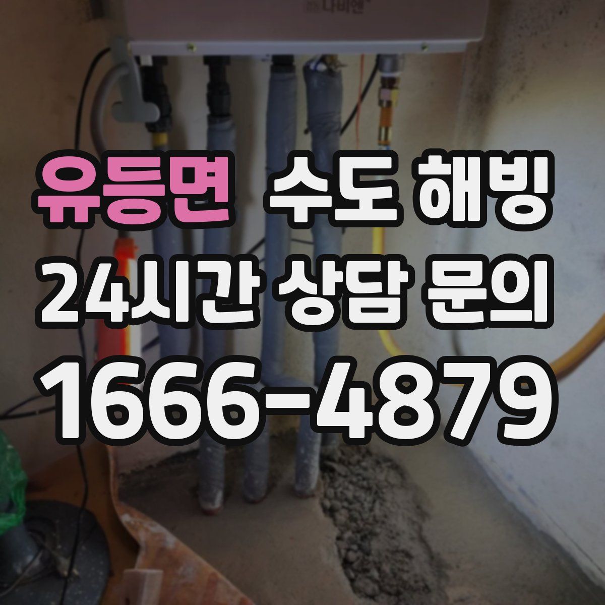 유등면 수도 해빙