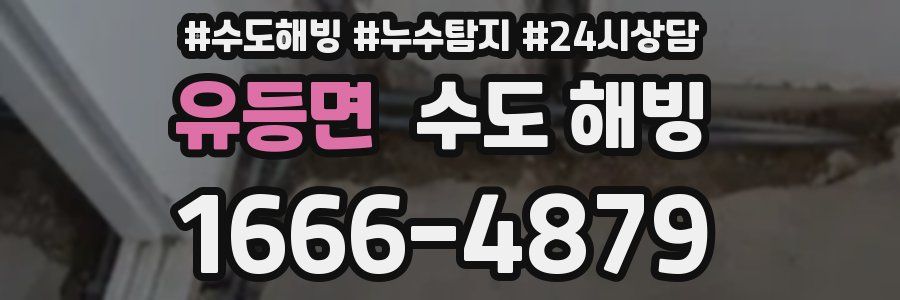 유등면 수도 해빙