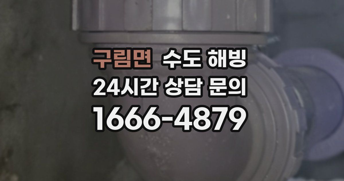 구림면 수도 해빙