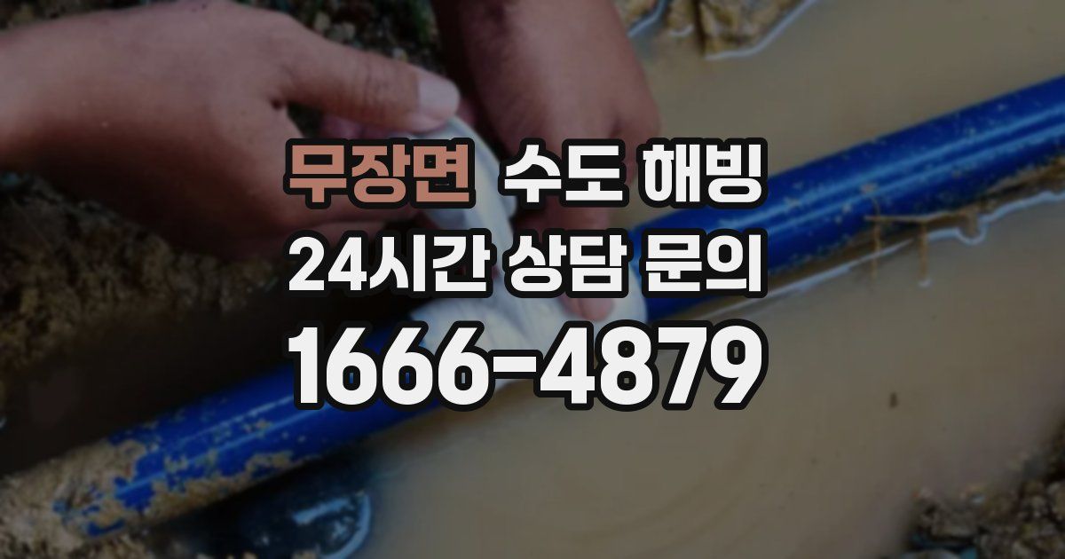 무장면 수도 해빙