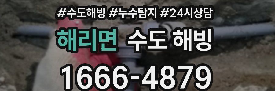 해리면 수도 해빙