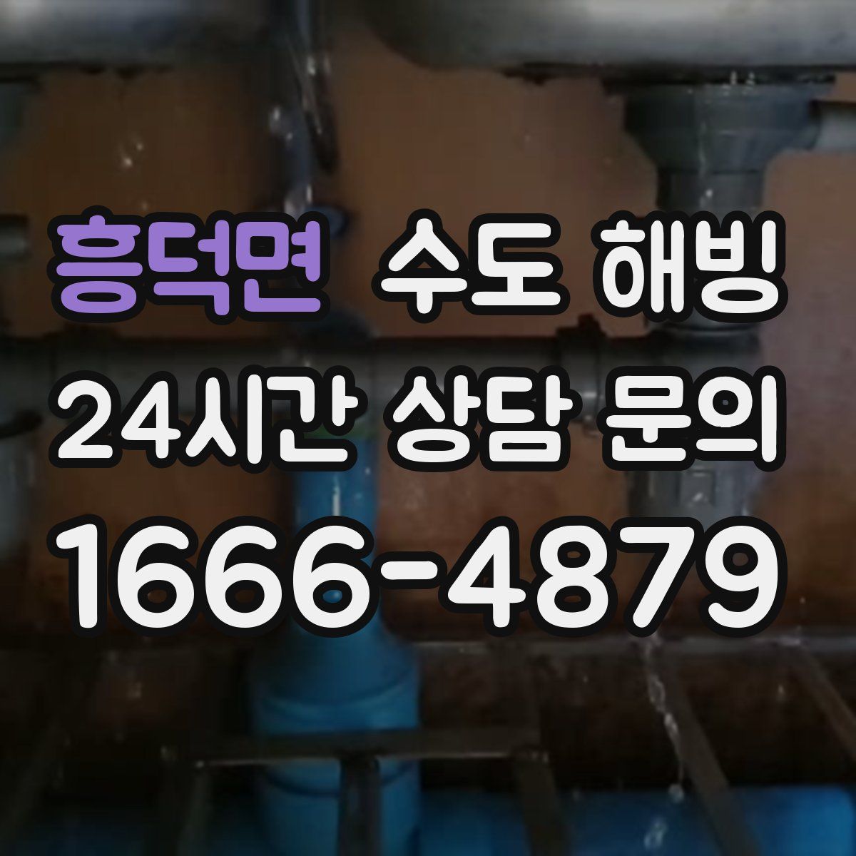 흥덕면 수도 해빙