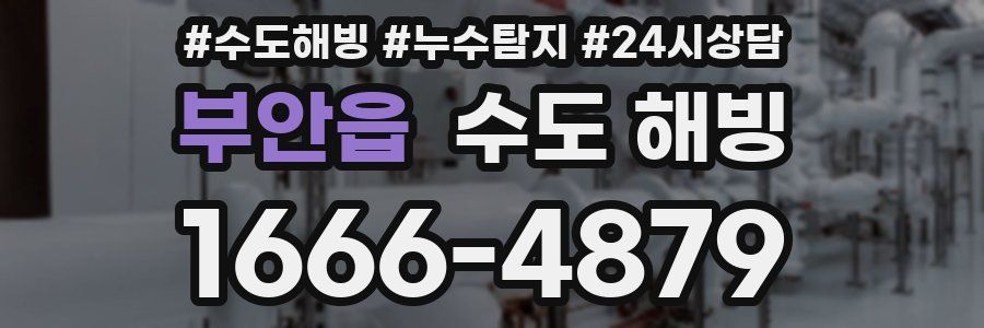 부안읍 수도 해빙