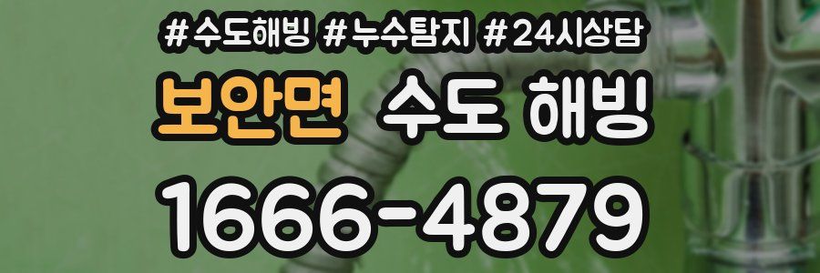 보안면 수도 해빙