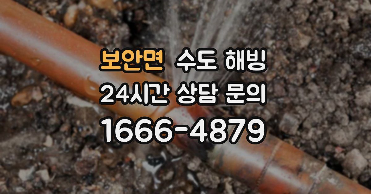 보안면 수도 해빙