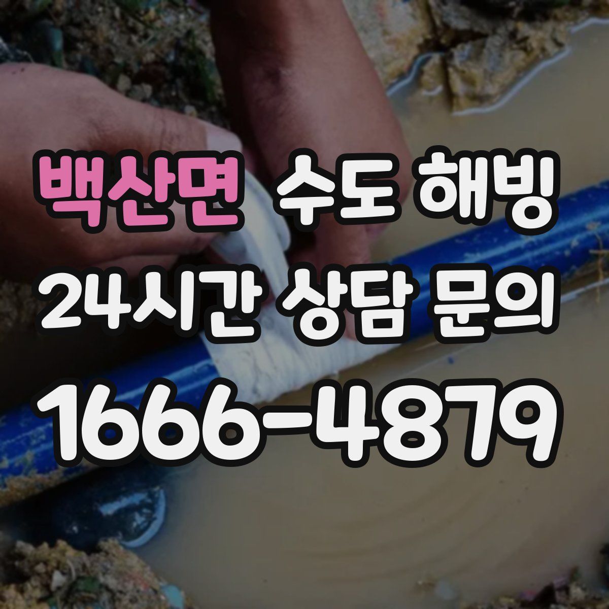 백산면 수도 해빙