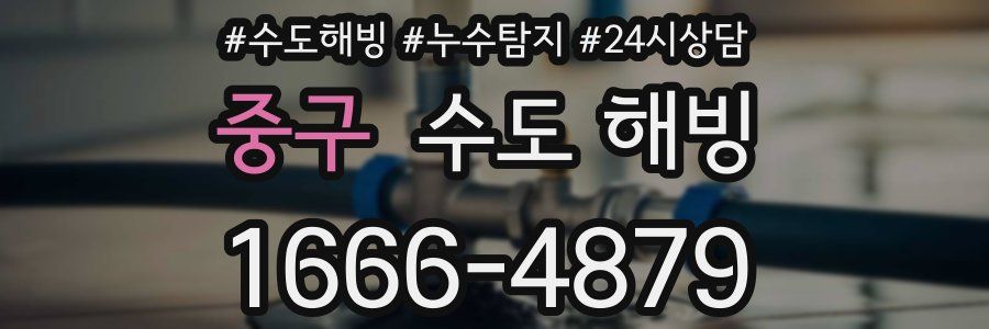 중구 수도 해빙