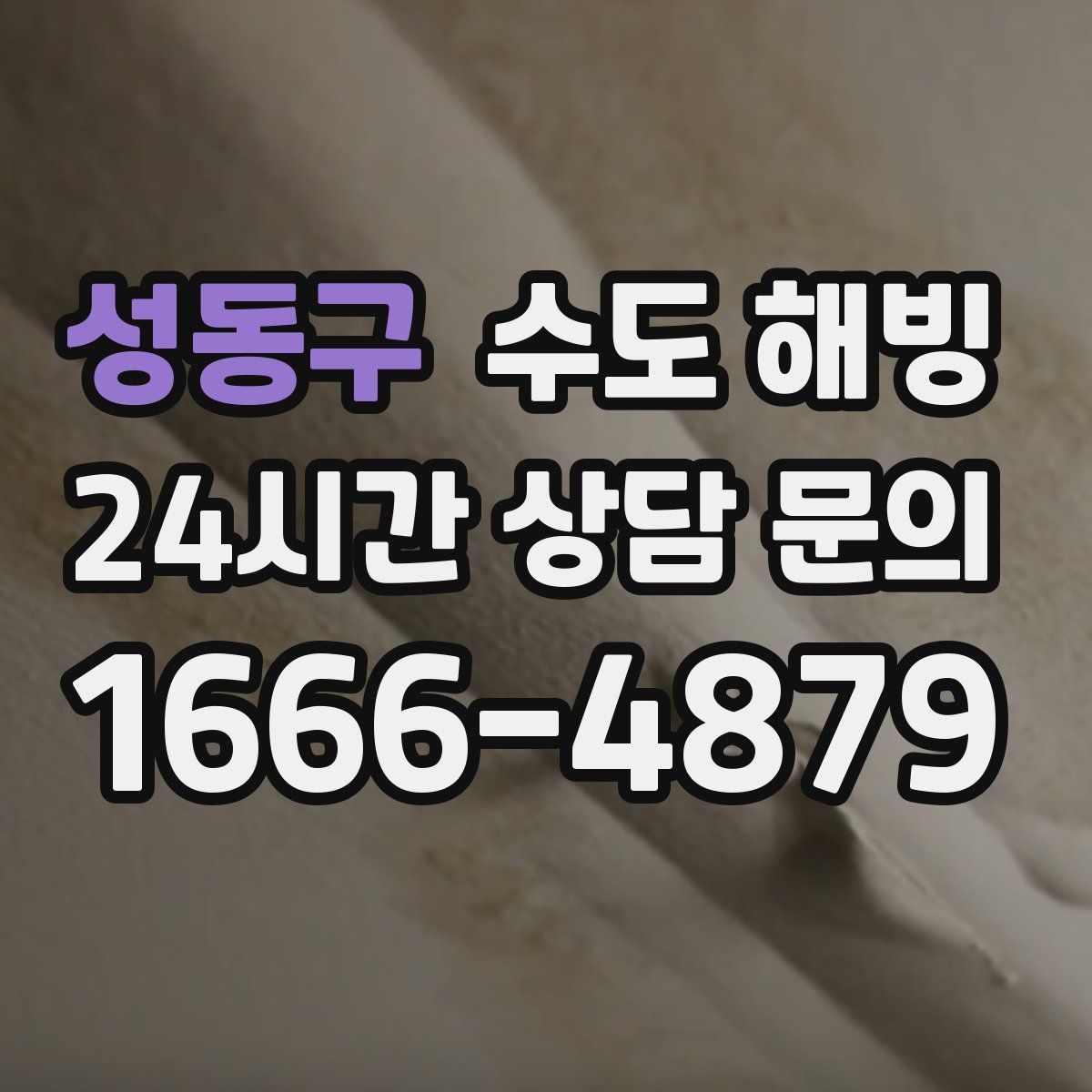 성동구 수도 해빙