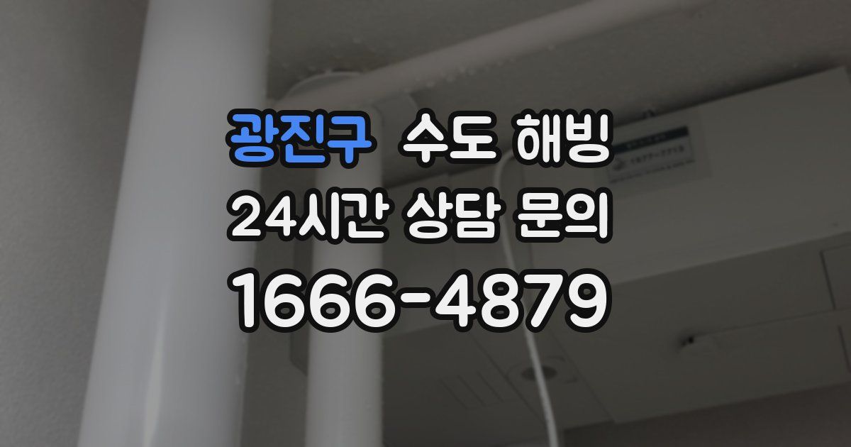 광진구 수도 해빙