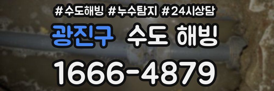 광진구 수도 해빙