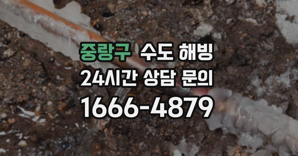 중랑구 수도 해빙