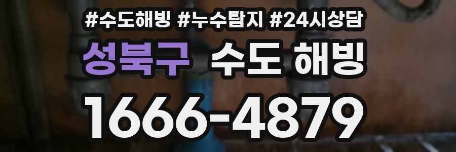 성북구 수도 해빙