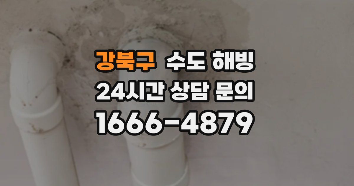 강북구 수도 해빙