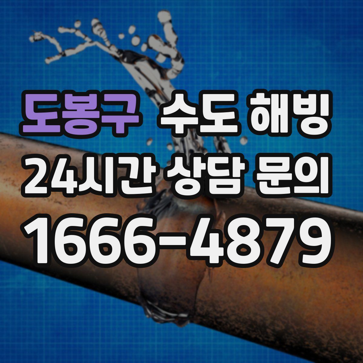 도봉구 수도 해빙