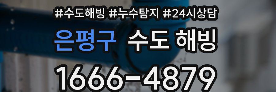 은평구 수도 해빙