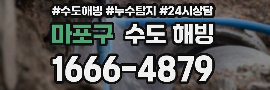 마포구 수도 해빙