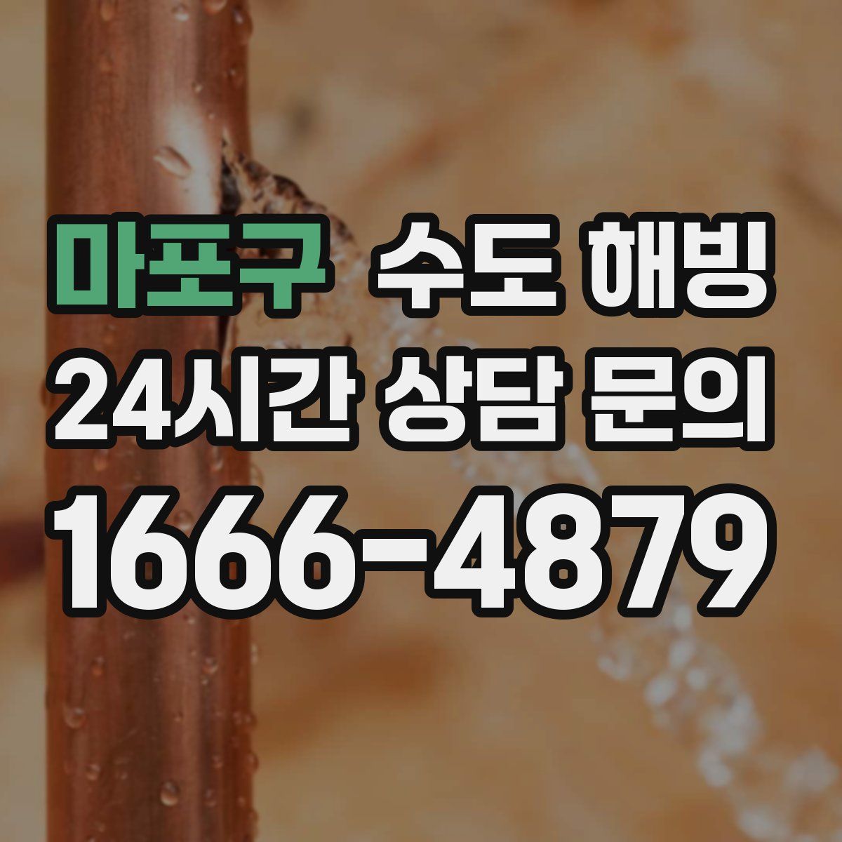 마포구 수도 해빙