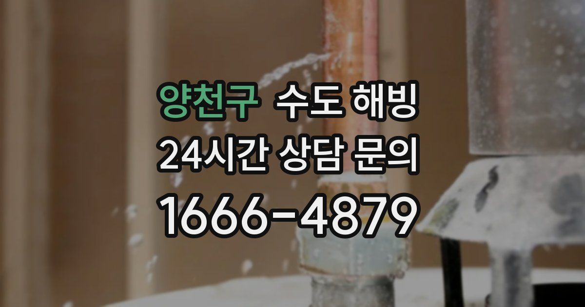 양천구 수도 해빙