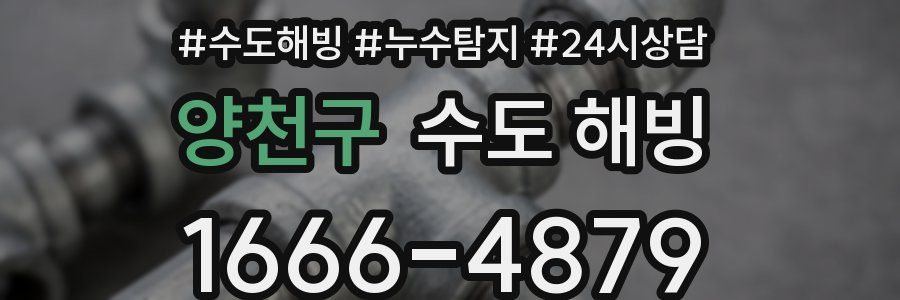 양천구 수도 해빙