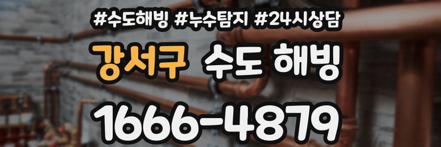 강서구 수도 해빙